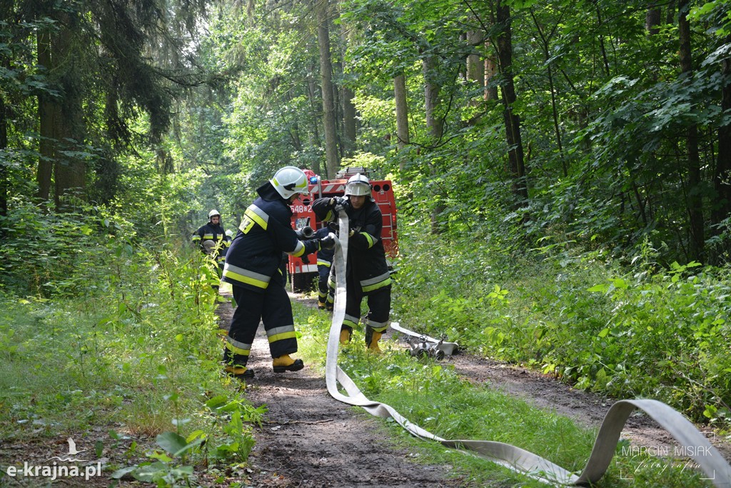 Pożar lasu w Ludwichowie