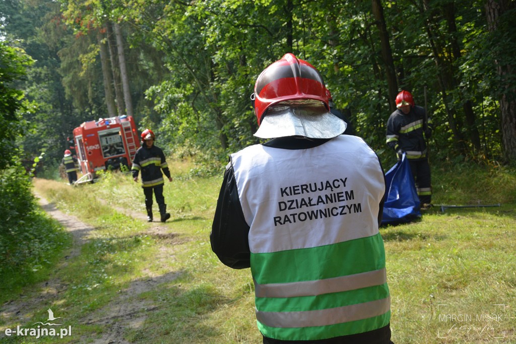 Pożar lasu w Ludwichowie