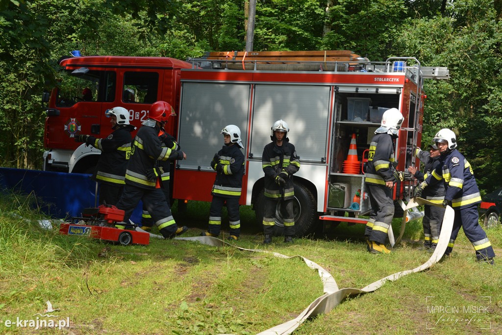 Pożar lasu w Ludwichowie