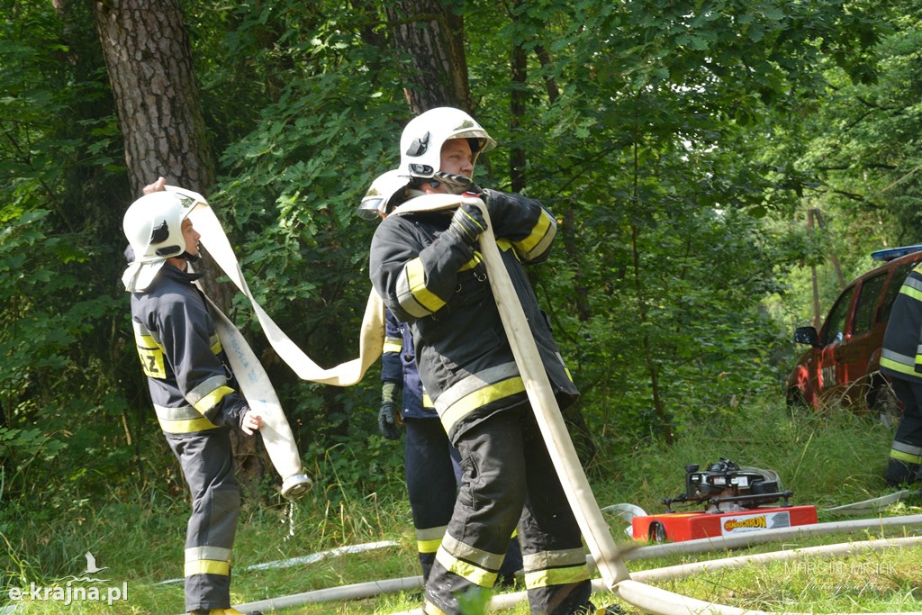 Pożar lasu w Ludwichowie