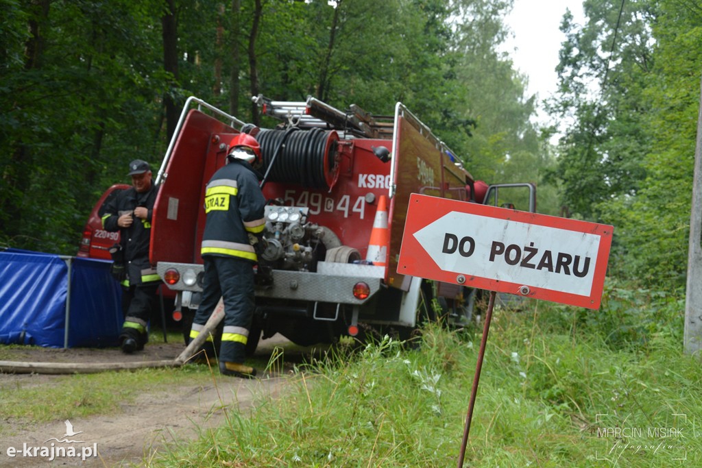 Pożar lasu w Ludwichowie