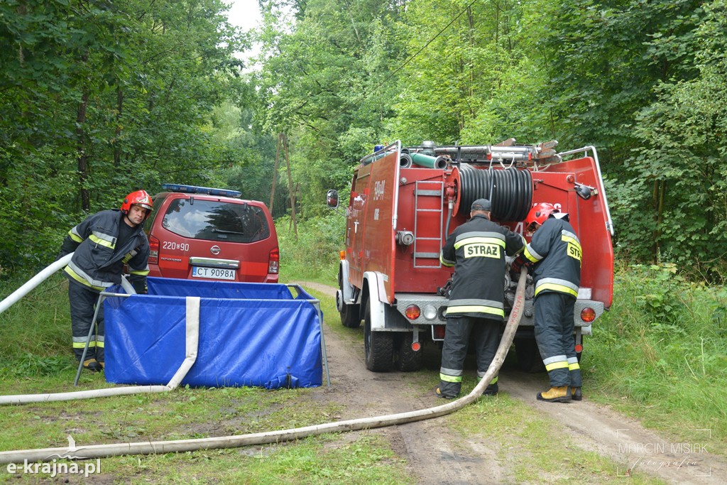 Pożar lasu w Ludwichowie