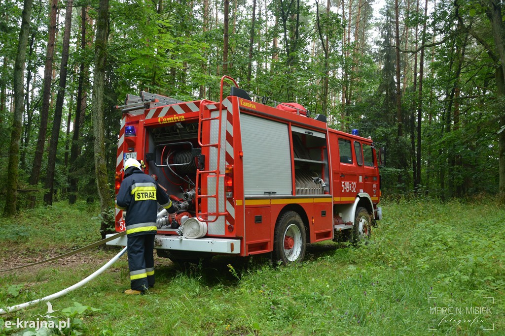 Pożar lasu w Ludwichowie