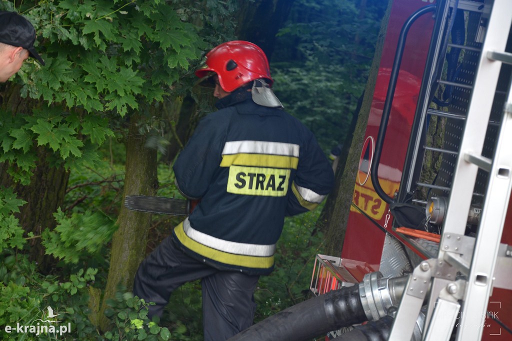 Pożar lasu w Ludwichowie