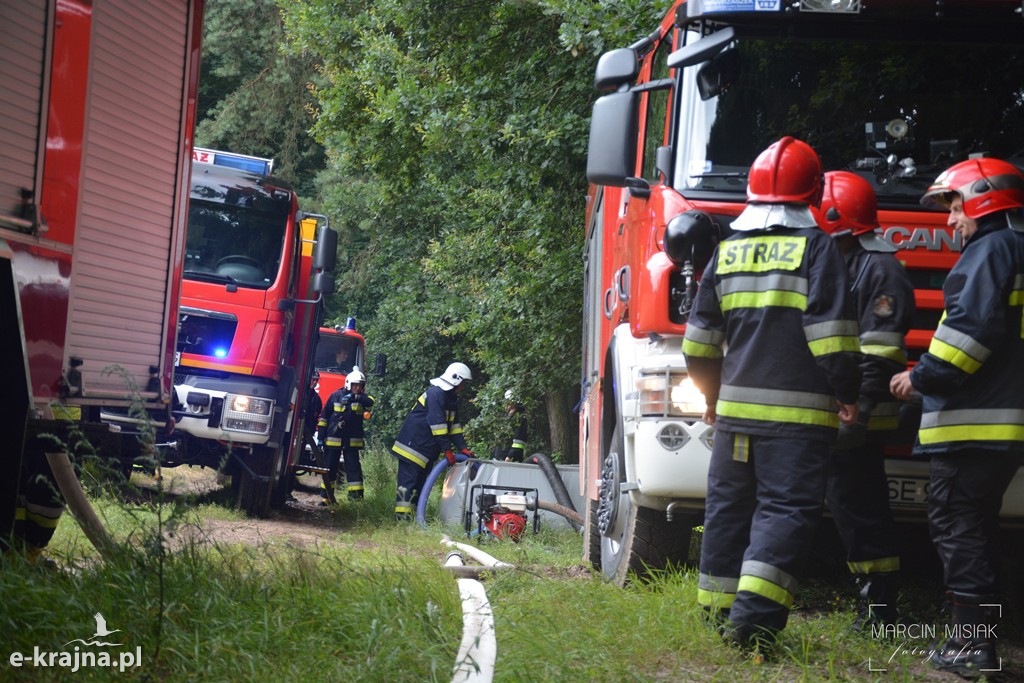 Pożar lasu w Ludwichowie