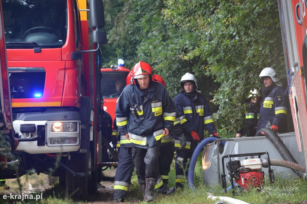 Pożar lasu w Ludwichowie