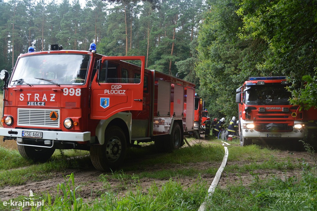 Pożar lasu w Ludwichowie