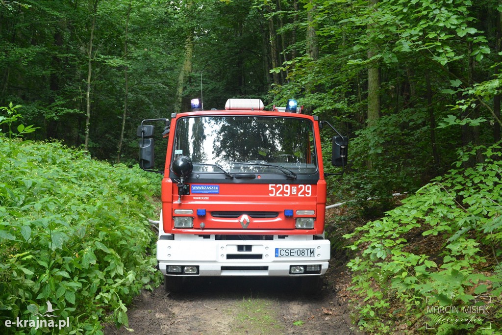 Pożar lasu w Ludwichowie