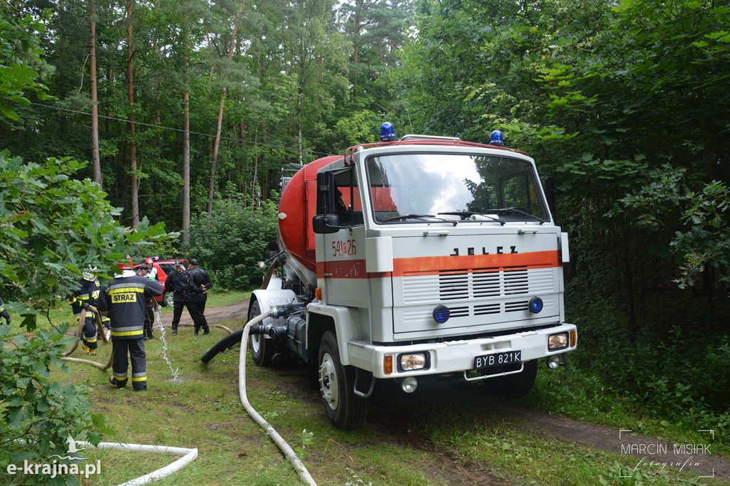 Pożar lasu w Ludwichowie