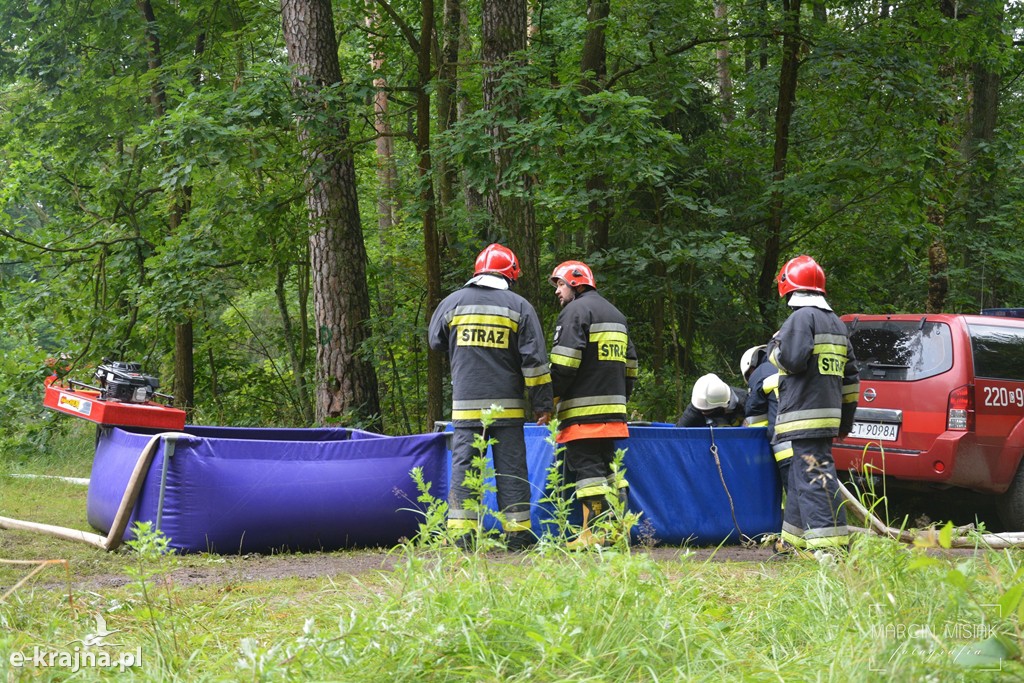 Pożar lasu w Ludwichowie