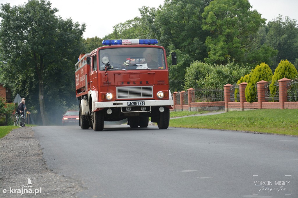 Pożar lasu w Ludwichowie