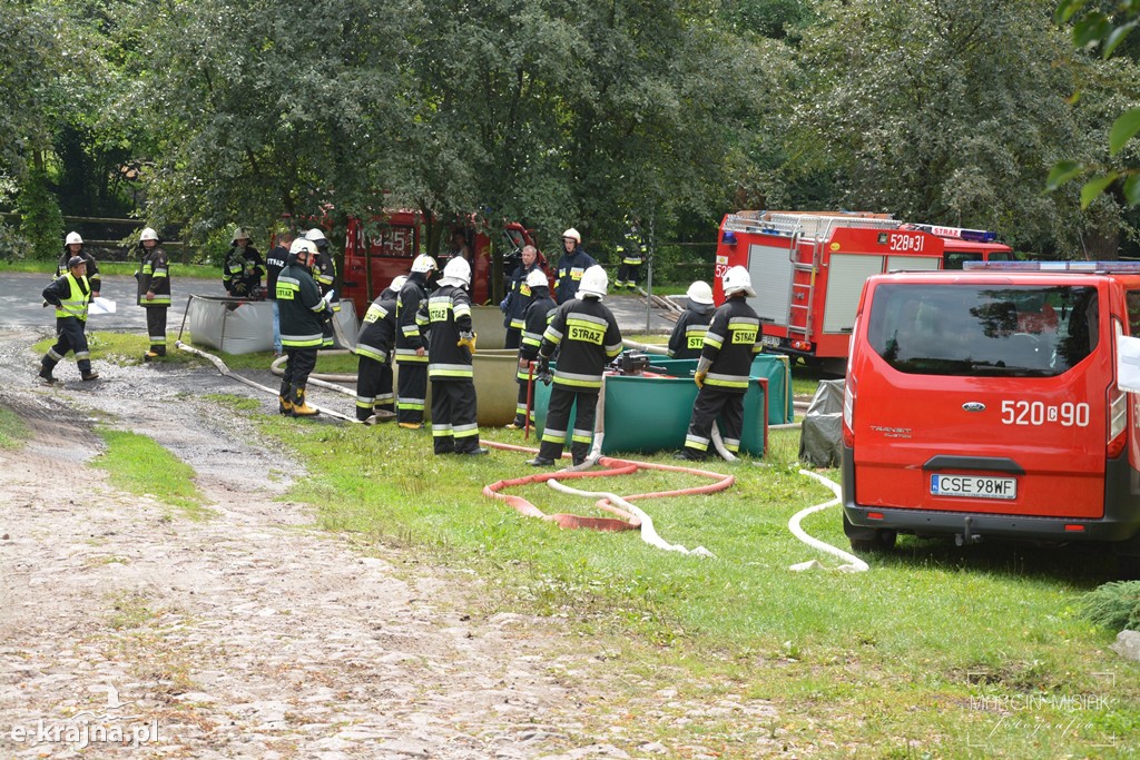 Pożar lasu w Ludwichowie