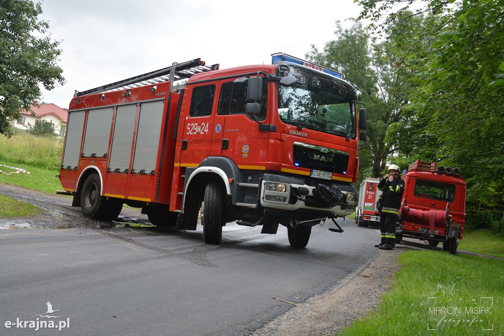 Pożar lasu w Ludwichowie