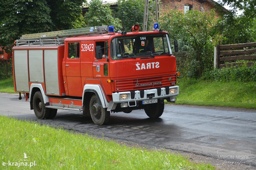 Pożar lasu w Ludwichowie