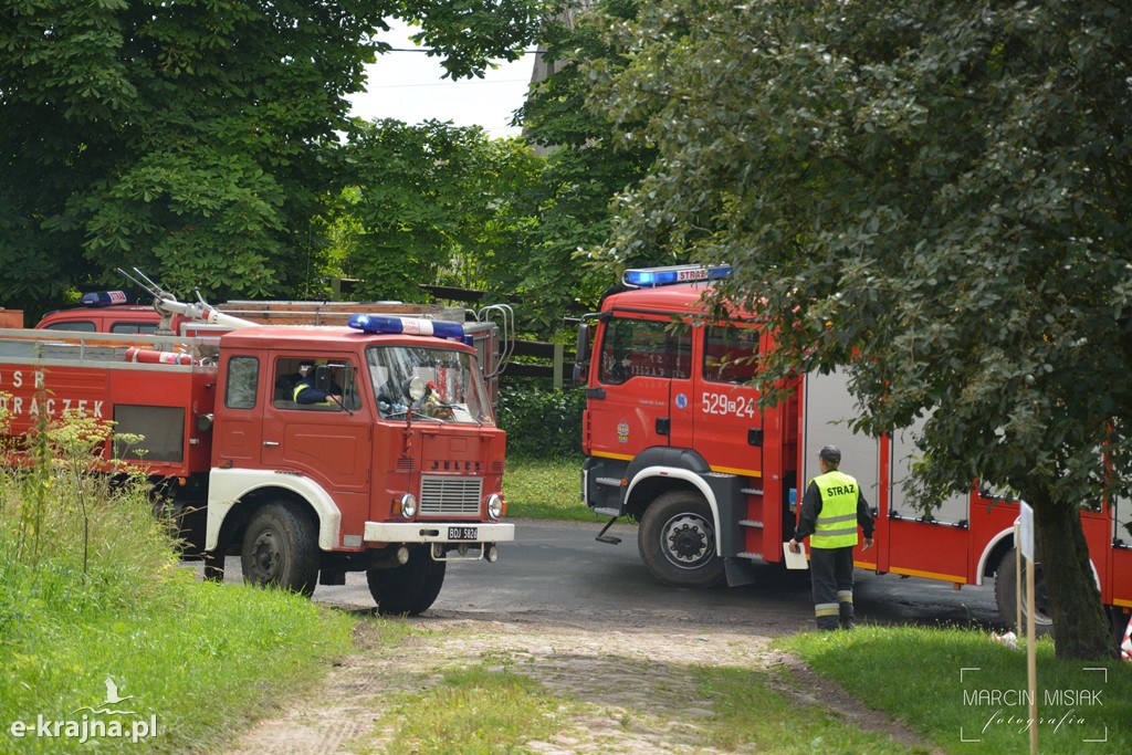 Pożar lasu w Ludwichowie