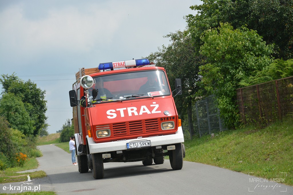 Pożar lasu w Ludwichowie