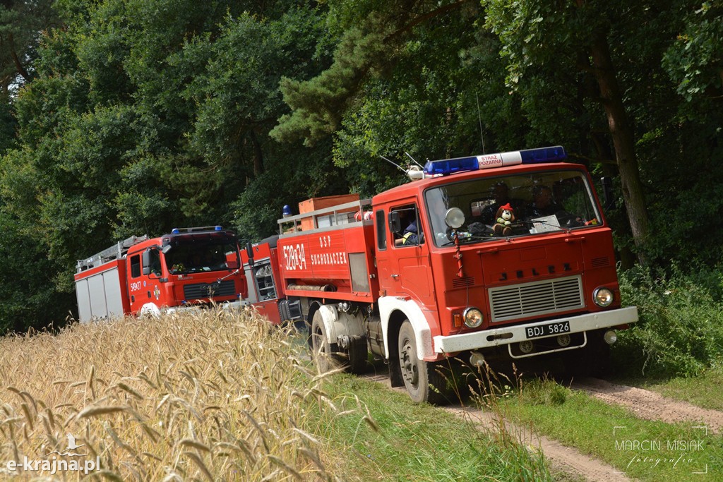 Pożar lasu w Ludwichowie