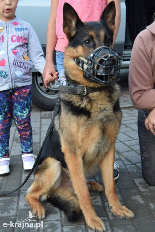 Lato 2017 w Mierucinie. Piątek z Policją