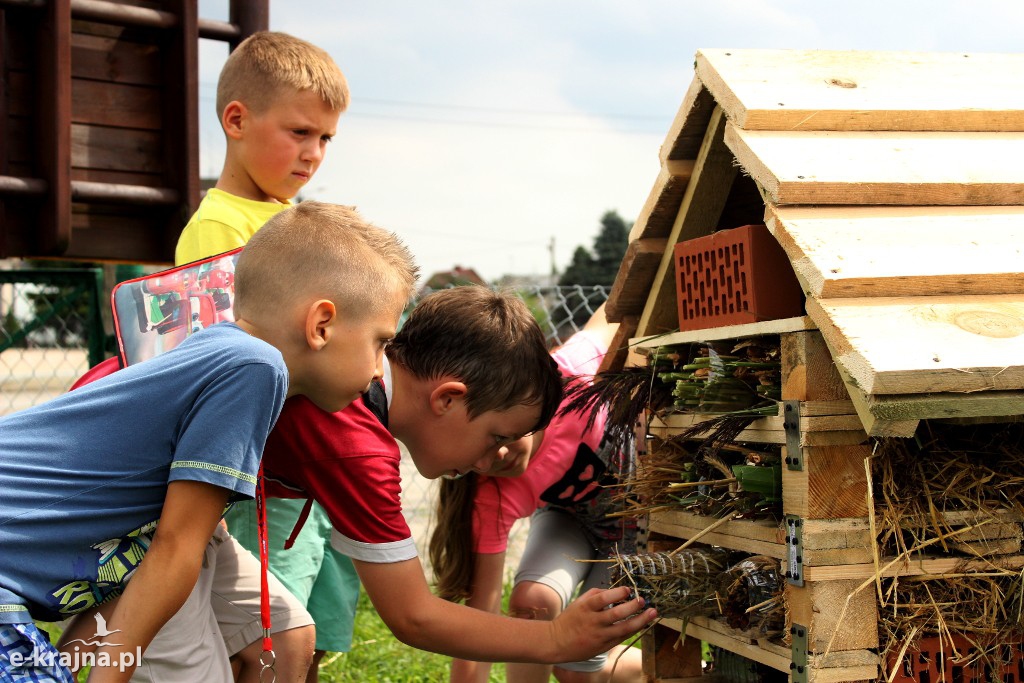 Pożyteczne Owady - PÓŁKOLONIE LETNIE