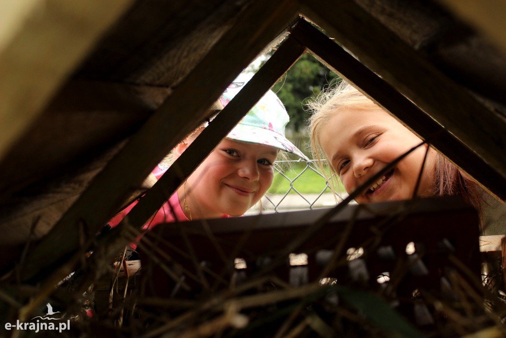 Pożyteczne Owady - PÓŁKOLONIE LETNIE