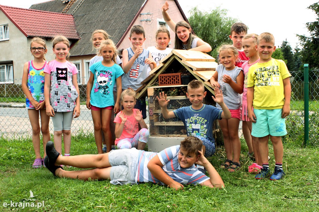 Pożyteczne Owady - PÓŁKOLONIE LETNIE