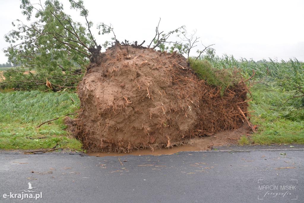 Ogromne zniszczenia po piątkowej nawałnicy
