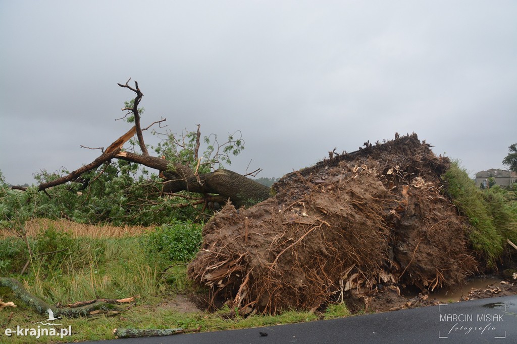 Ogromne zniszczenia po piątkowej nawałnicy