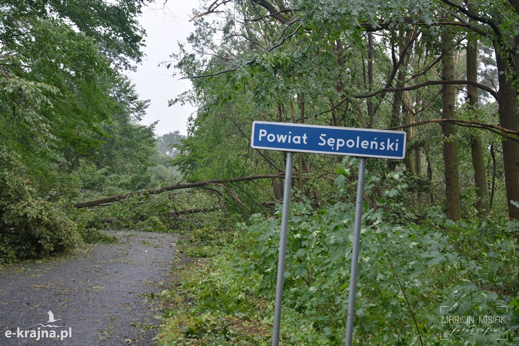 Ogromne zniszczenia po piątkowej nawałnicy