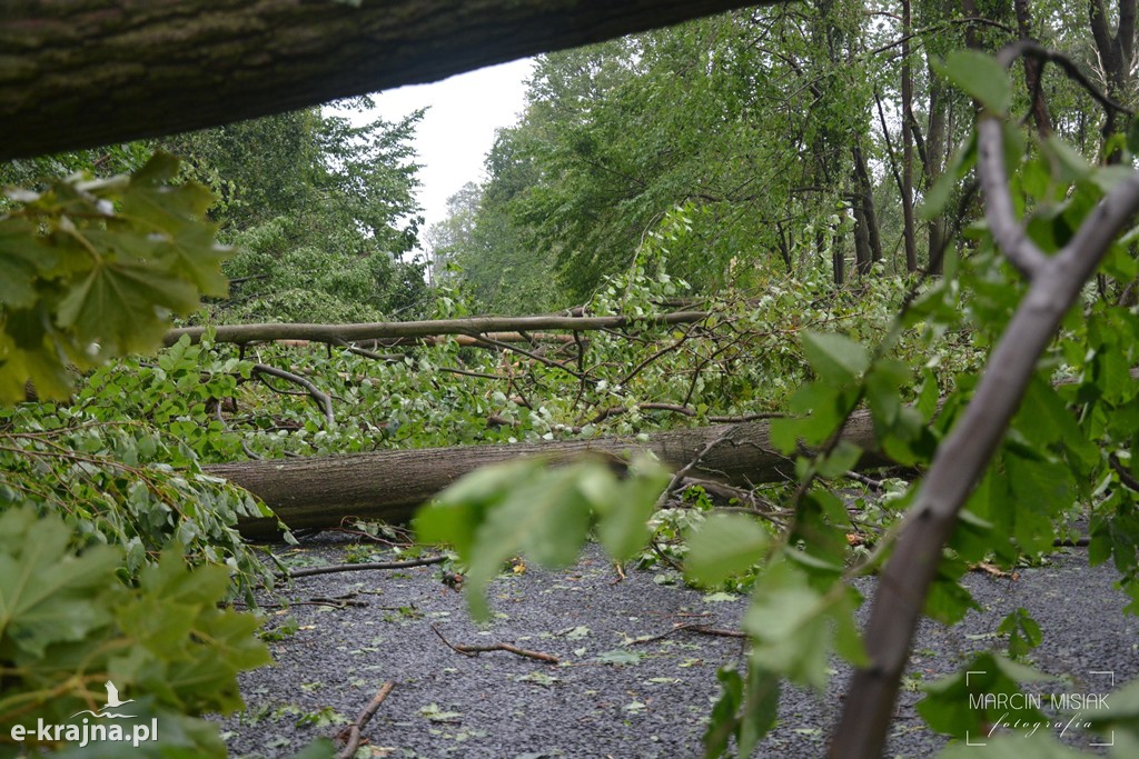 Ogromne zniszczenia po piątkowej nawałnicy