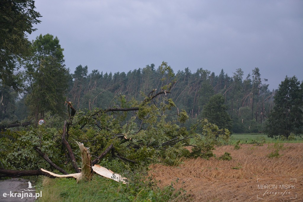 Ogromne zniszczenia po piątkowej nawałnicy