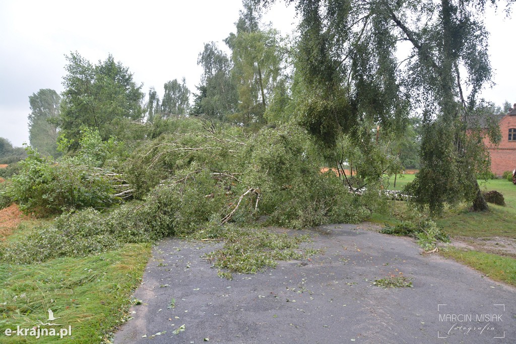 Ogromne zniszczenia po piątkowej nawałnicy