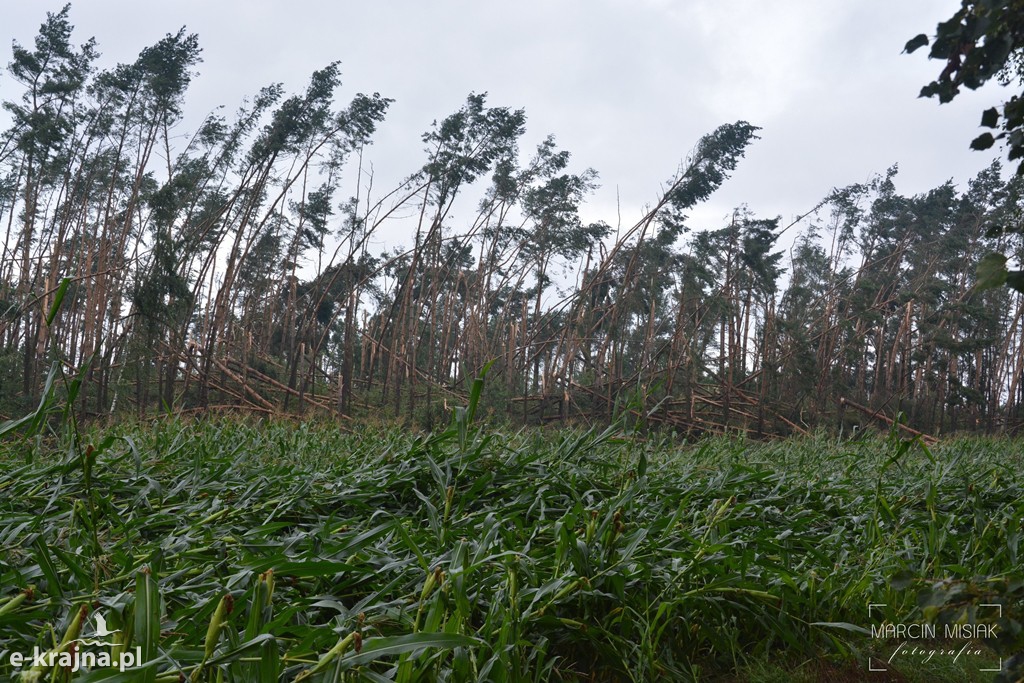 Ogromne zniszczenia po piątkowej nawałnicy