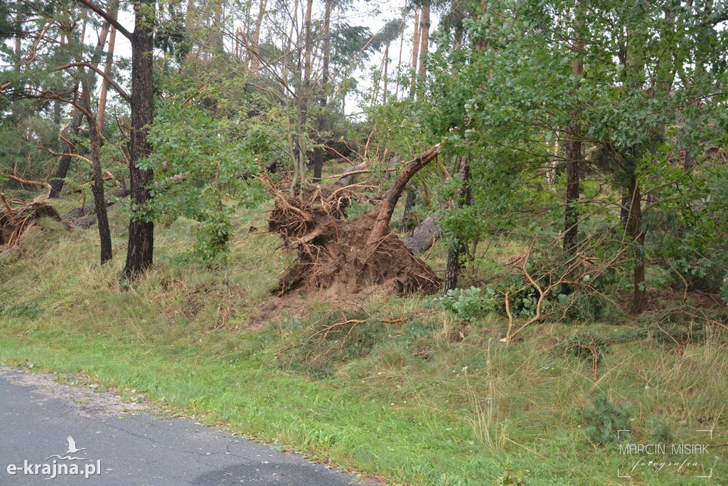 Ogromne zniszczenia po piątkowej nawałnicy