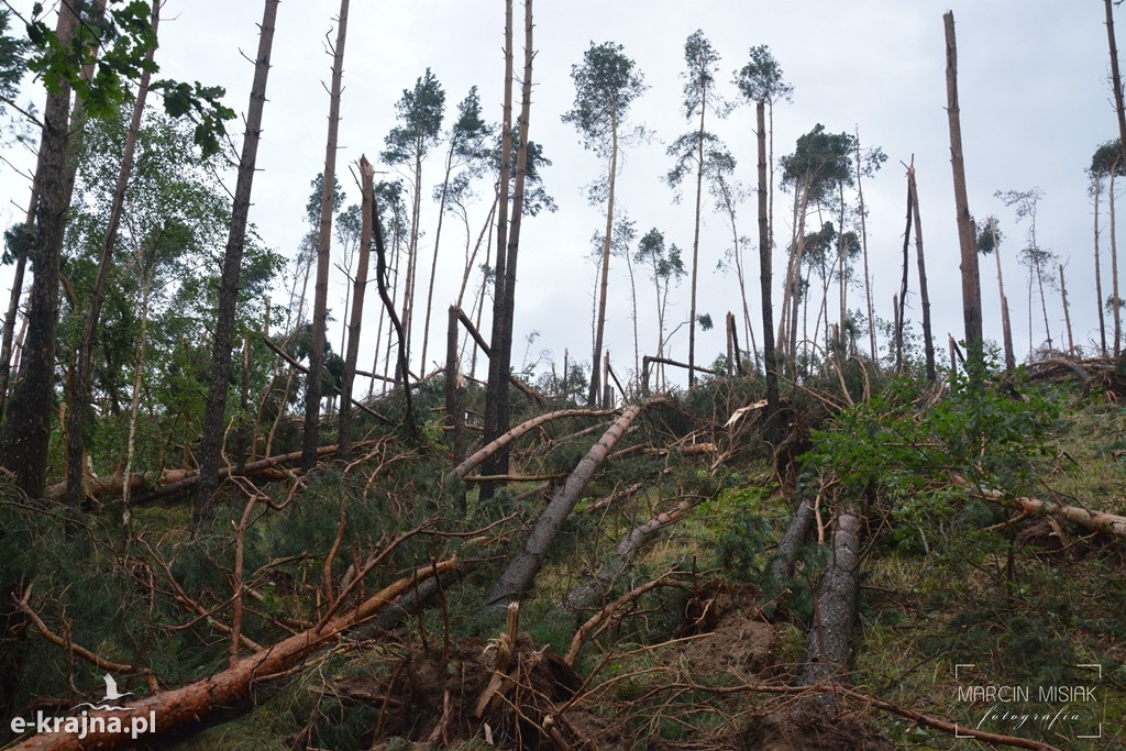Ogromne zniszczenia po piątkowej nawałnicy
