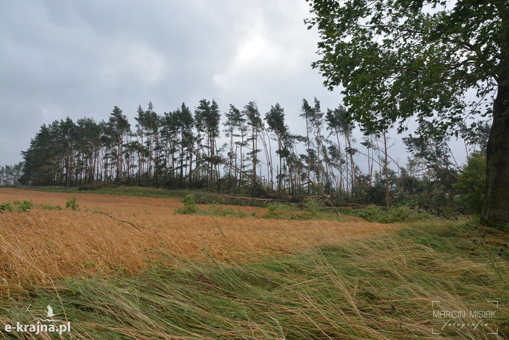 Ogromne zniszczenia po piątkowej nawałnicy