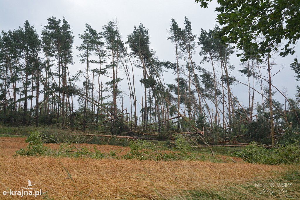 Ogromne zniszczenia po piątkowej nawałnicy