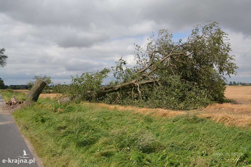 Ogromne zniszczenia po piątkowej nawałnicy