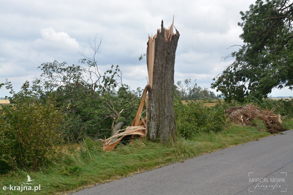 Ogromne zniszczenia po piątkowej nawałnicy