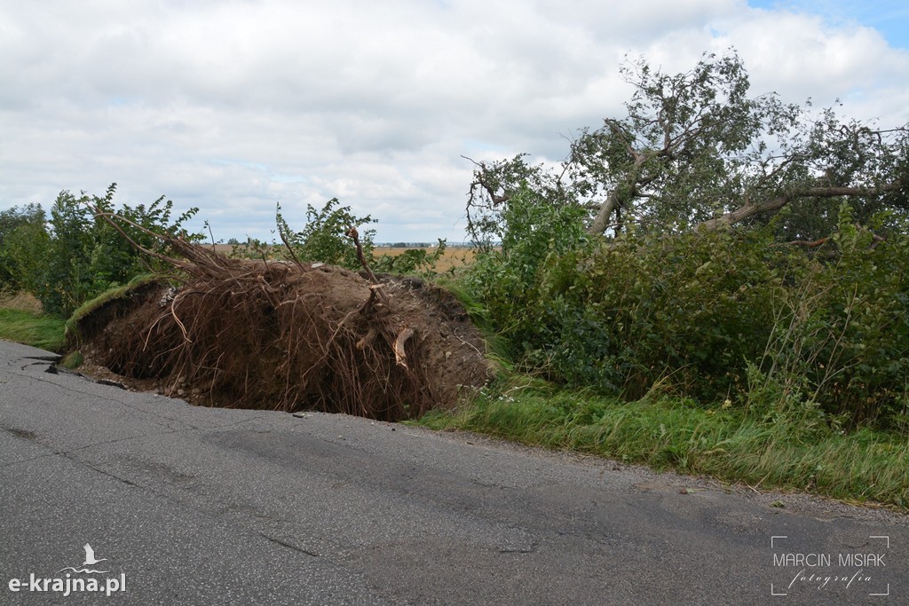 Ogromne zniszczenia po piątkowej nawałnicy