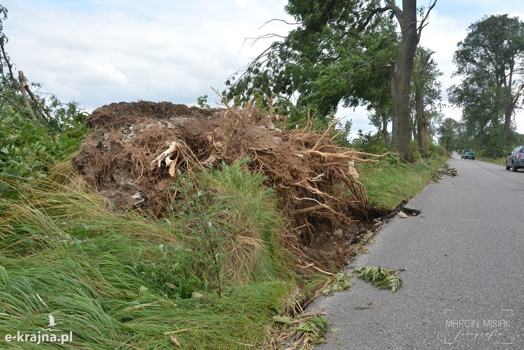 Ogromne zniszczenia po piątkowej nawałnicy