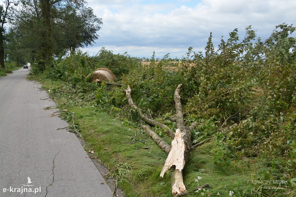 Ogromne zniszczenia po piątkowej nawałnicy