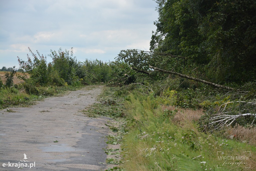 Ogromne zniszczenia po piątkowej nawałnicy