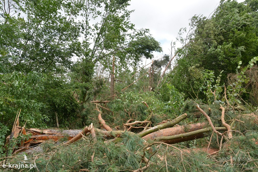 Ogromne zniszczenia po piątkowej nawałnicy