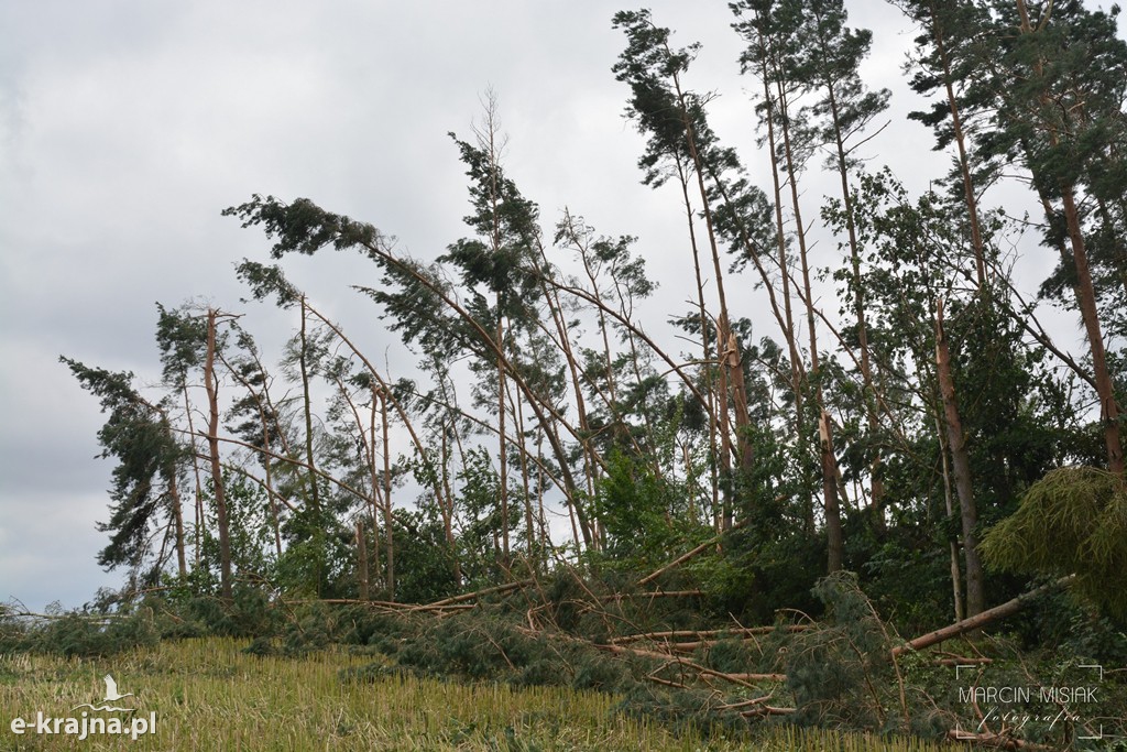 Ogromne zniszczenia po piątkowej nawałnicy