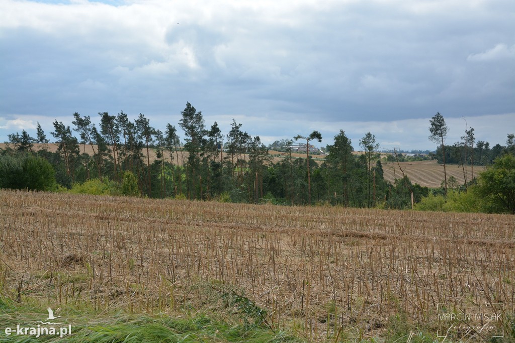 Ogromne zniszczenia po piątkowej nawałnicy