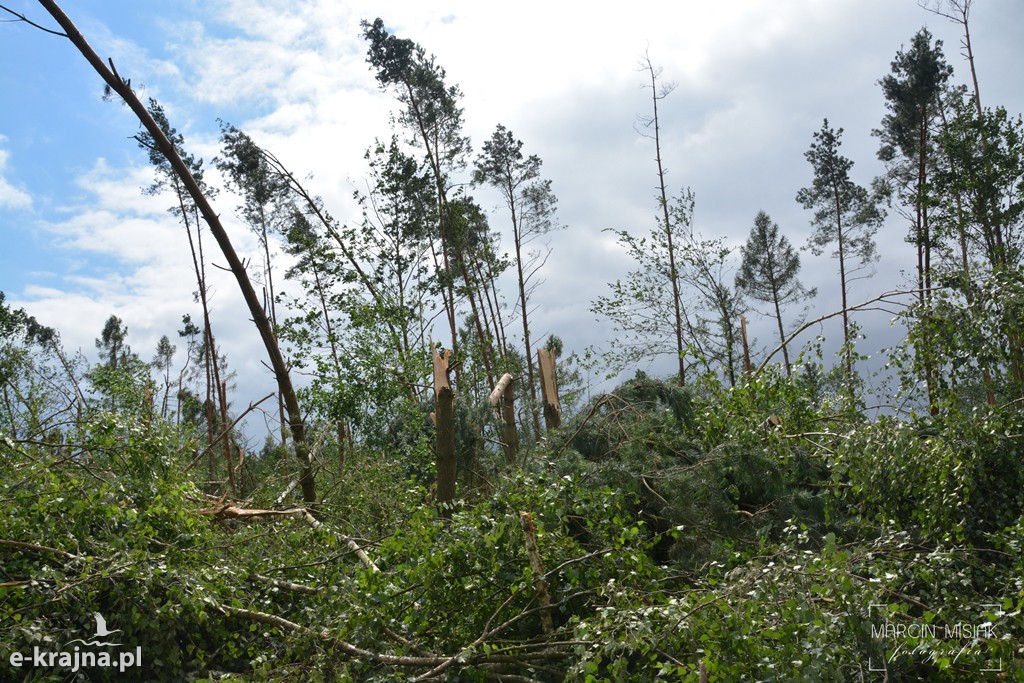 Ogromne zniszczenia po piątkowej nawałnicy