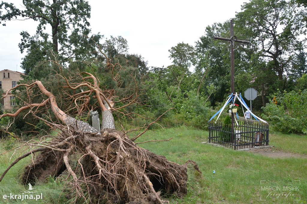 Ogromne zniszczenia po piątkowej nawałnicy