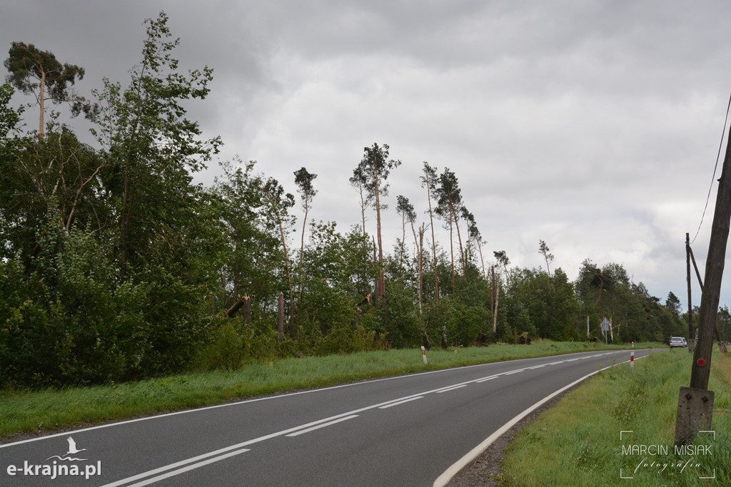 Ogromne zniszczenia po piątkowej nawałnicy