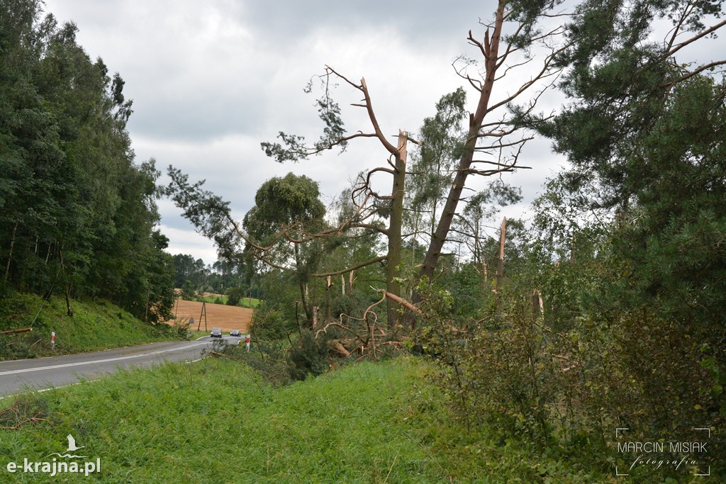 Ogromne zniszczenia po piątkowej nawałnicy