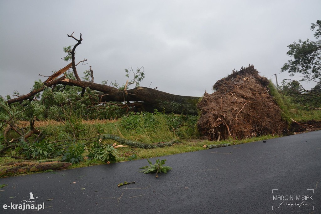 Ogromne zniszczenia po piątkowej nawałnicy